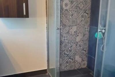 Apartament spatios de 3 camere - zona Delfinariu - 8