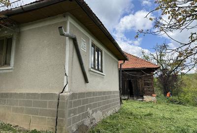 Casă cu 4 camere în Târnăvița - 7