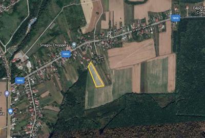Teren 7500 m² de vanzare in Ciolpani - 1