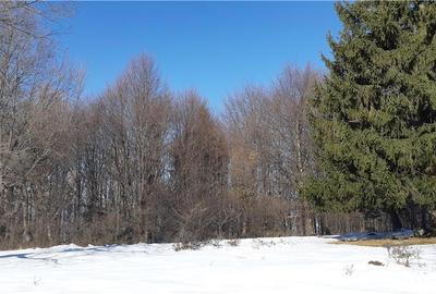 Teren de 1713 mp, în Poiana Brașov - 2