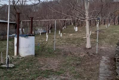 Casă cu 3 camere în Făget - 6