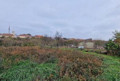 De vanzare casa Carani + teren 2085 mp- 697 - 6