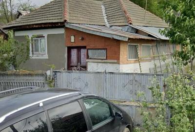Casă cu 4 camere cu Teren 1700 Mp în Argetoaia - 4