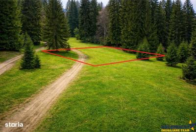 Spațiu comercial, în Poiana Brașov - 2