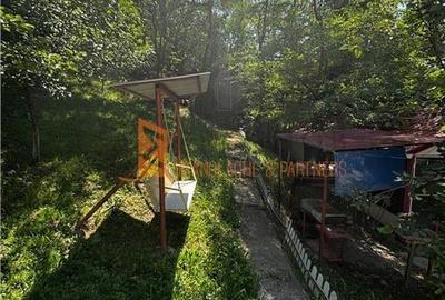 Ansamblu cabanute zona Cozieni - 27