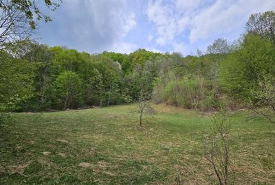 Teren intravilan 1454 mp la marginea padurii zona locuita de case! - 4