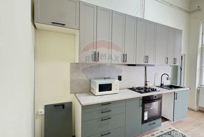Casa / Vila cu 3 camere de inchiriat in zona Intim - 14