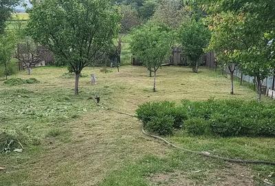 Proprietar vand casa cu teren 2500m2 in Domne?ti Ilfov - 9