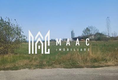 Teren | 10,000 MP | Extravilan | Posibilitate de parcelare | Cristian - 2