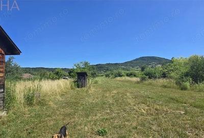 Casa cu teren 5900 mp str. Ghinzii sub padure - 5