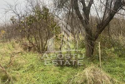 Casă cu 4 camere cu Teren 1509 Mp în Ghiroda