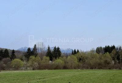 Teren intravilan, 7838 mp, cu priveli?te superba spre mun?i Zarne?ti - 3