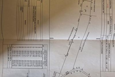 Casă cu 3 camere cu Teren 4800 Mp în Balta Doamnei - 3