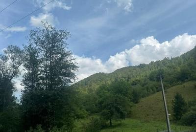 Teren 2 hectare pe Valea Ariesului, zona Scarita-Belioara, pret oportun 2 Eur/mp - 16