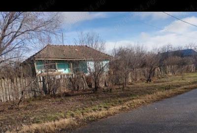 Schimb Casa Amara Buzau cu Garsoniera +Diferenta - 4