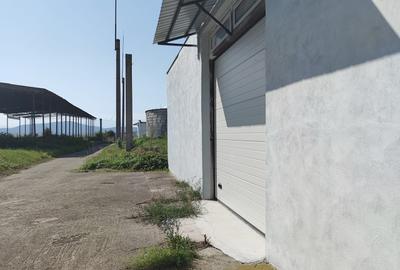 Spațiu industrial, de 1,200 mp, în Bod - 7