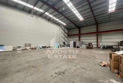 Spațiu comercial, de 600 mp, în Săcălaz - 2