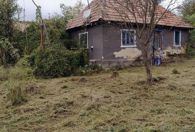 Casă cu 2 camere în Rediu