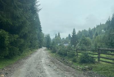 Teren Construcții intravilan de 6000 mp, în Ortoaia - 1