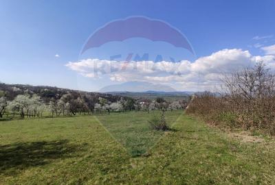 Teren intravilan pentru casa Carbunari - 5