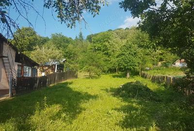 Casă cu 2 camere cu Teren 1200 Mp în Bughea de Jos - 7