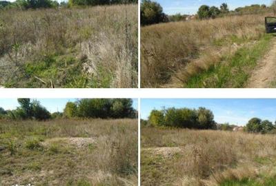 Spațiu comercial, în Brânceni - 2