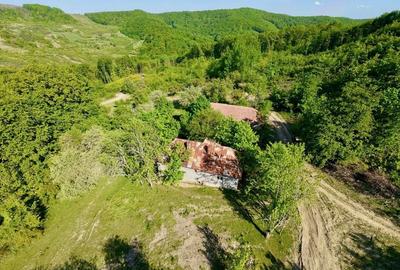 Casă cu 4 camere în Unguraș - 16