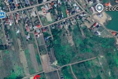 Teren de 500 mp, în Alexandru cel Bun