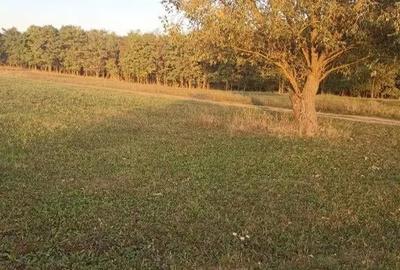 Teren de 1500 mp, în Periferie