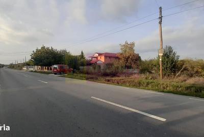 Teren de 5000 mp, în Adunații-Copăceni - 7