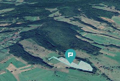 Teren de 92294 in Halmagiu - 3