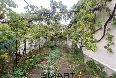 Casa 3 camere si gradina zona Valea Aurie - 2