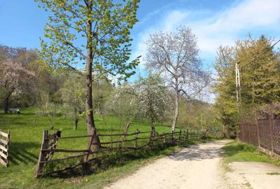 Teren de 1950 mp, în Breaza - 8