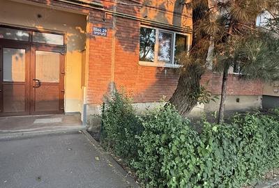 Apartament Lapus Arges zona Sucpi-Mall Electroputere - 9