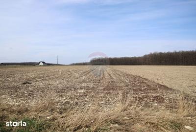 Teren de 9740 mp, în Bosanci - 2