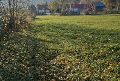 Teren de 3200 mp, în Sadova - 3