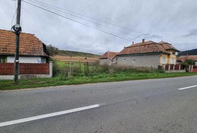 Teren de 2730 mp, în Petrești - 1