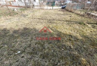 Casă cu Teren 3676 Mp în Poiana - 5