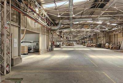 Spatiu Industrial - 5000 mp - Productie - Depozitare - 18