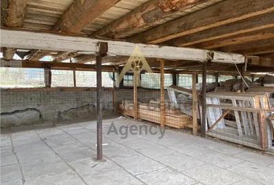 Teren de 5000 mp, în Agăș - 4