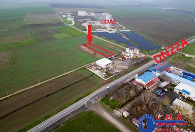 ID 7901 EXCLUSIVITATE - Teren intravilan în Cataloi - 1