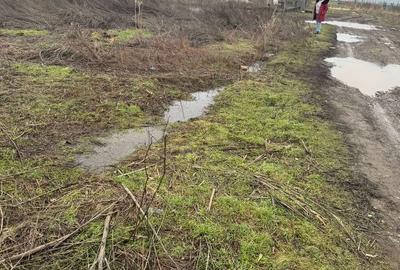 Teren de 5000 mp, în 1 Decembrie - 2