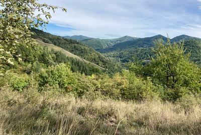 Teren de 4420 mp, în Vinețisu - 3