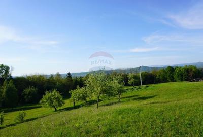 Teren Construcții intravilan de 38592 mp, în Sud-Vest - 2