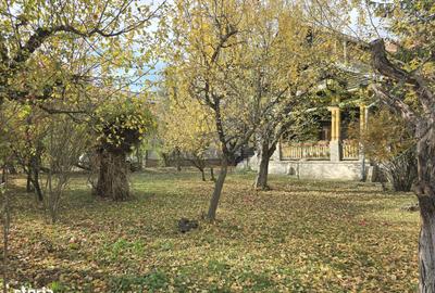 Casă cu 7 camere cu Teren 3800 Mp în Central - 11