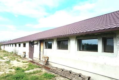 Spațiu industrial, de 696 mp, în Cătunu (Cornești) - 2