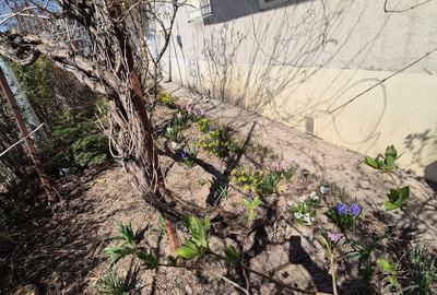 Apartament cu 3 camere decomandat în Tei - 4