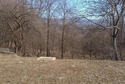 Casă cu Teren 692 Mp în Breaza de Jos - 1