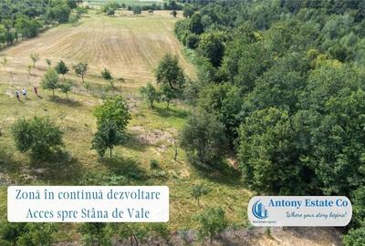 Spațiu comercial, de 195 mp, în Budureasa - 8