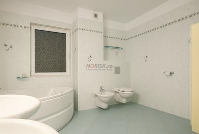 Oportunitate Domnesti – casa solida pe teren de 4.500 mp - 17